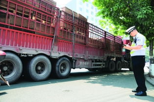 成都貨運汽車入城證競價創新高，52萬元引發行業深層思考
