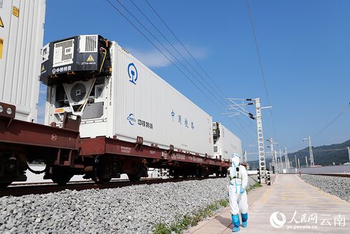 磨憨鐵路口岸 構筑舌尖自由的冷鏈大通道